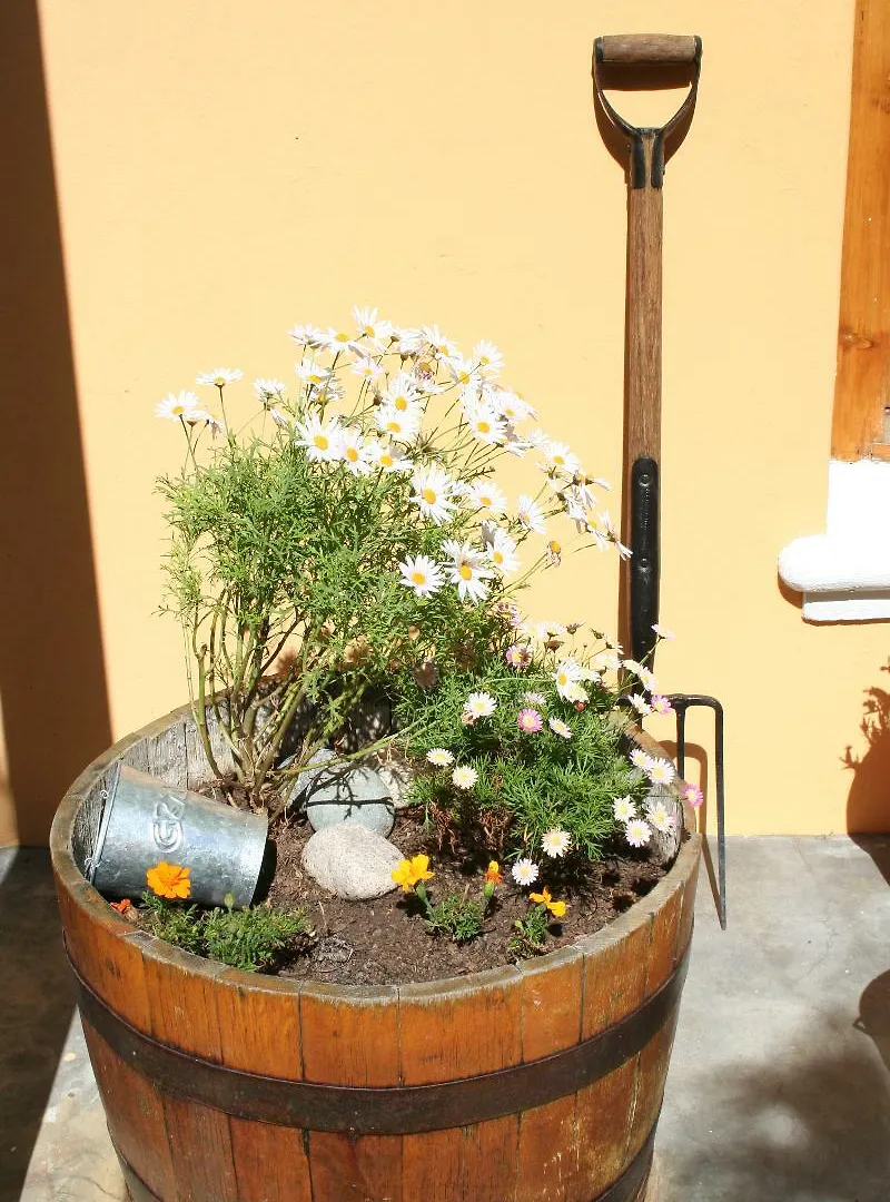Sweet Orange Guest House Cape Town